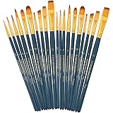 Transon 20pcs Bulk Artist Painting Brush Set for Acrylic Watercolor Gouache Hobby Craft Face Rock Painting