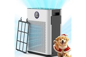 FRESHDEW Air Purifier for Home Up to 2300ft² with H14 True HEPA & Double-Sided Intake | Washable Pre-Filter & Air Quality Sensor | 22dB Ultra Quiet for Bedroom | Allergen/Dust/Smoke/Pet Dander