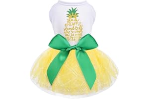 YIKEYO Dog Dress for Spring Summer, Small Dogs Girl Skirt Female Puppy Dresses Pet Yorkie Chihuahua Tulle Dress，Birthday Party Lace Costume Tutu Apparel