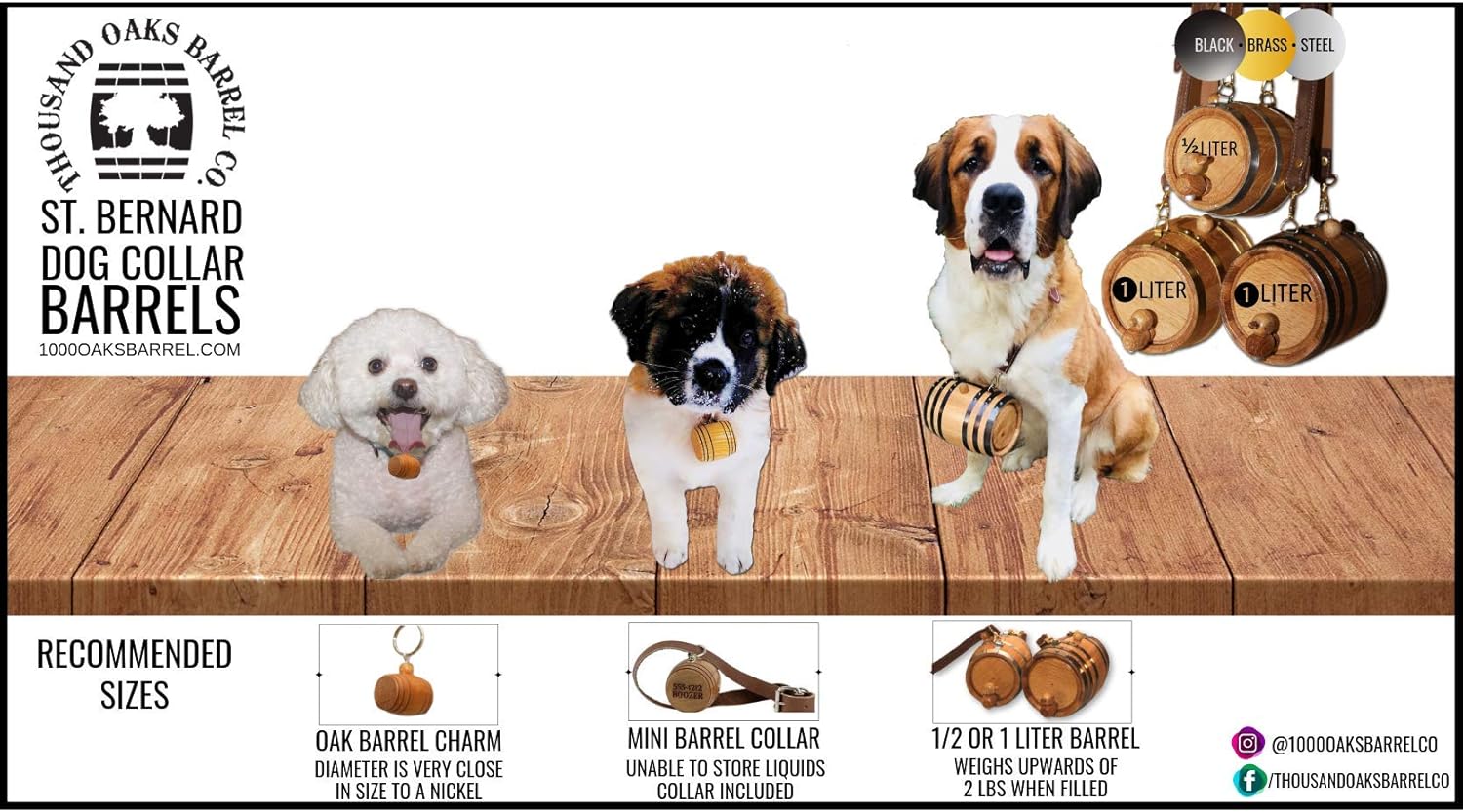 st bernard carrying rum