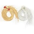 Embroiderymaterial Gimp Coil Metallic French Bullion Wire Wire for Beading Pearls, Jewelry Making, Embroidery and Jewelry Making 1MM Thick (Combo of Gold & Silver Color) (45 Meters/Each)