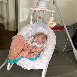 fisher price my sweet swan