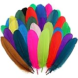 Lamar Colorful Goose Feathers 100Pcs Bulk Feathers
