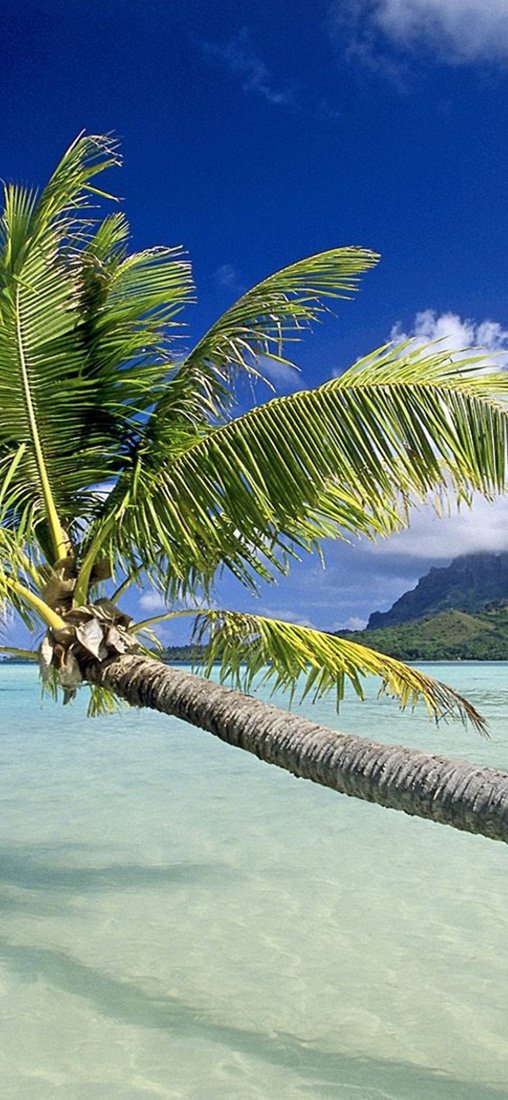 PeelitStickit, Beautiful Nature Wall Murals, ID-3352, vinyl