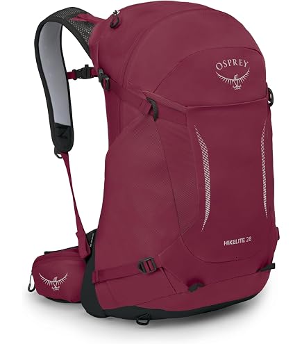 Amazon.com : Osprey Kresta 30L Women's Ski Backpack, Pine Leaf