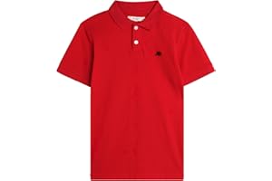 AEROPOSTALE Boys' Polo Shirt - Classic Fit Short Sleeve Pique Polo - Comfort Stretch Golf Shirt for Boys (4-16)