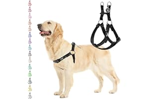 PUPTECK No Pull Dog Harness Soft Adjustable Basic Nylon Step in Puppy Vest Outdoor Walking with ID Tag