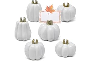 Gift Boutique Thanksgiving Mini White Pumpkin Place Card Holders Set of 6 Fall Wedding Table Number Name Tag Bridal Shower Di