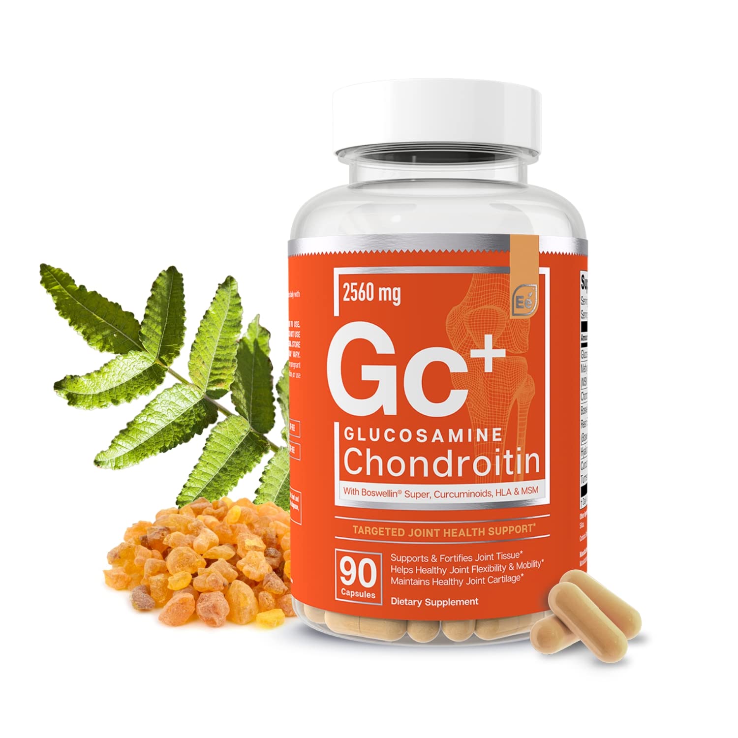 Glucosamine Chondroitin