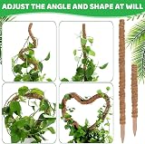 Aileem Moss Poles 122cm 2 Pack Bendable Plant Support Climbing Poles view 6