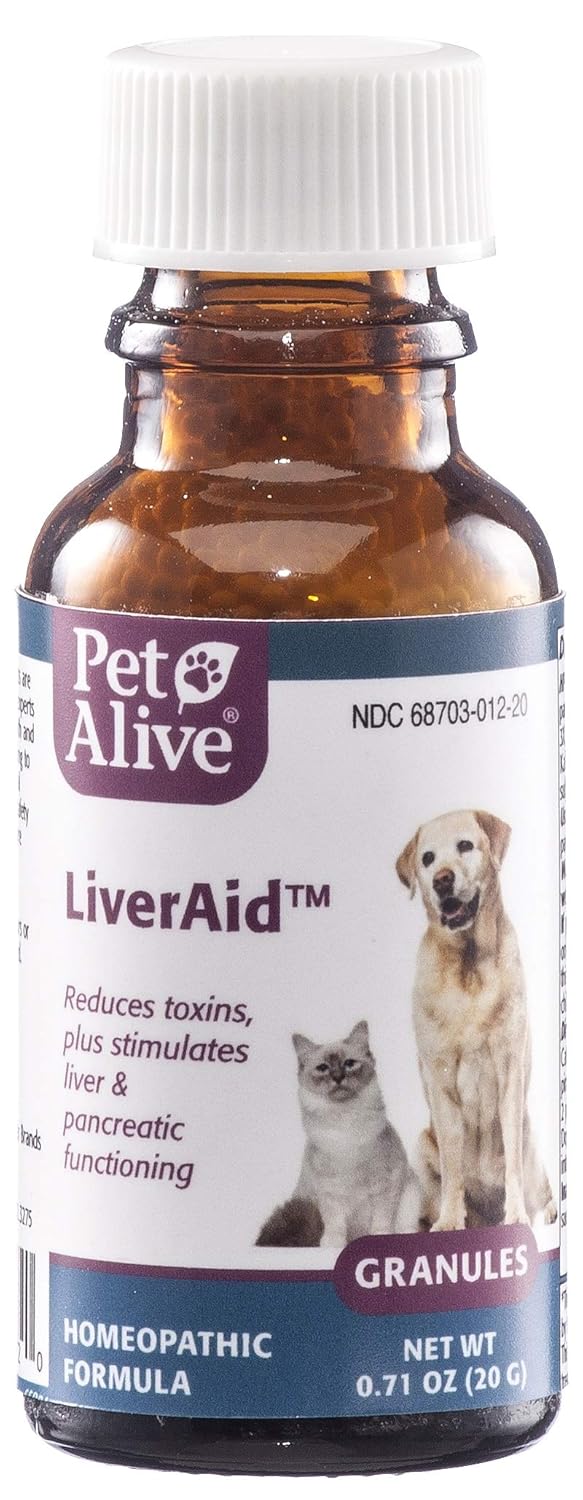 Best Dog Food For Dogs With Gallbladder Problems at Rosalinda Wire blog