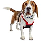 good2go reflective harness