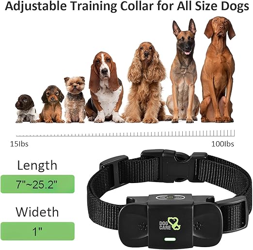 dog master training collars