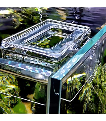 Pinza Magnética Para Algas Y Alimentos De Acuario - Clip De PP Para Peces, Tortugas Y Camarones - 8x4.2x4 Cm
