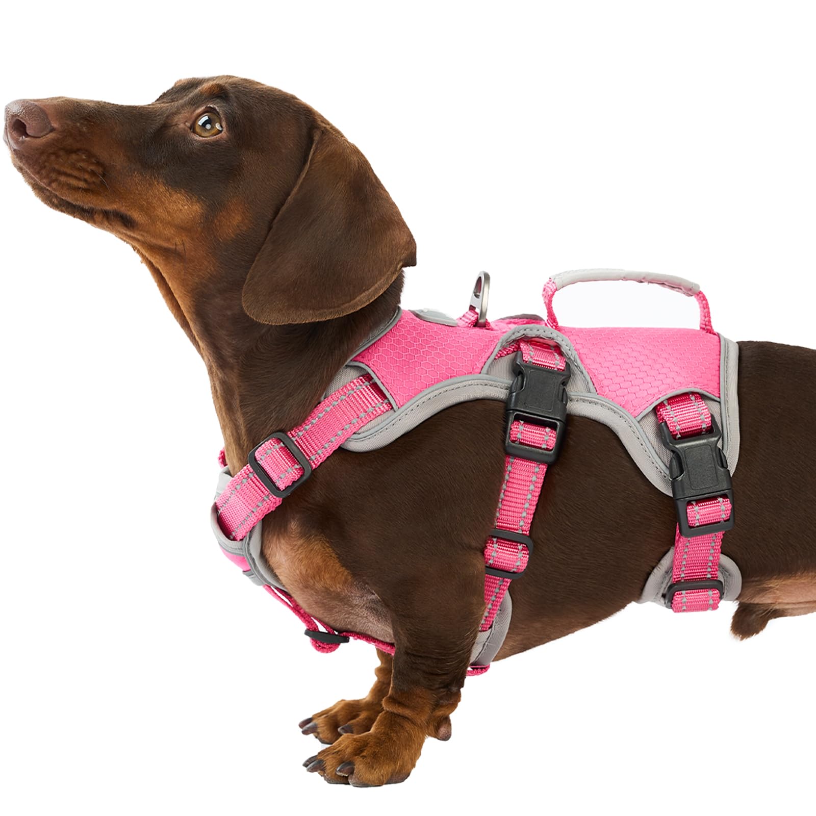 Huntboo Medium Reflective Dog Harness - Adjustable, Breathable Vest for Walking, Training & Running (Rose Red, S) — image 1