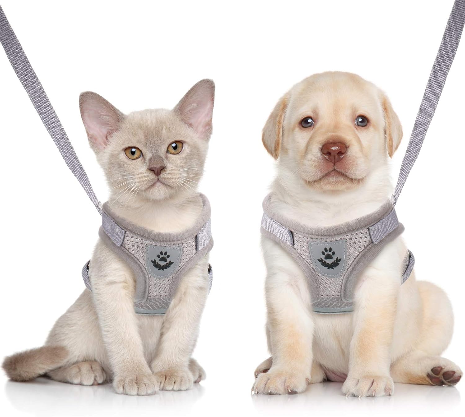 Sumind Puppy/Cat Harness and Lead Sets Escape Proof Soft Mesh Adjustable Vest Harnesses Dog Cat Pet Breathable Mesh Chest Strap for Outdoor Training Walking XS (Gray)