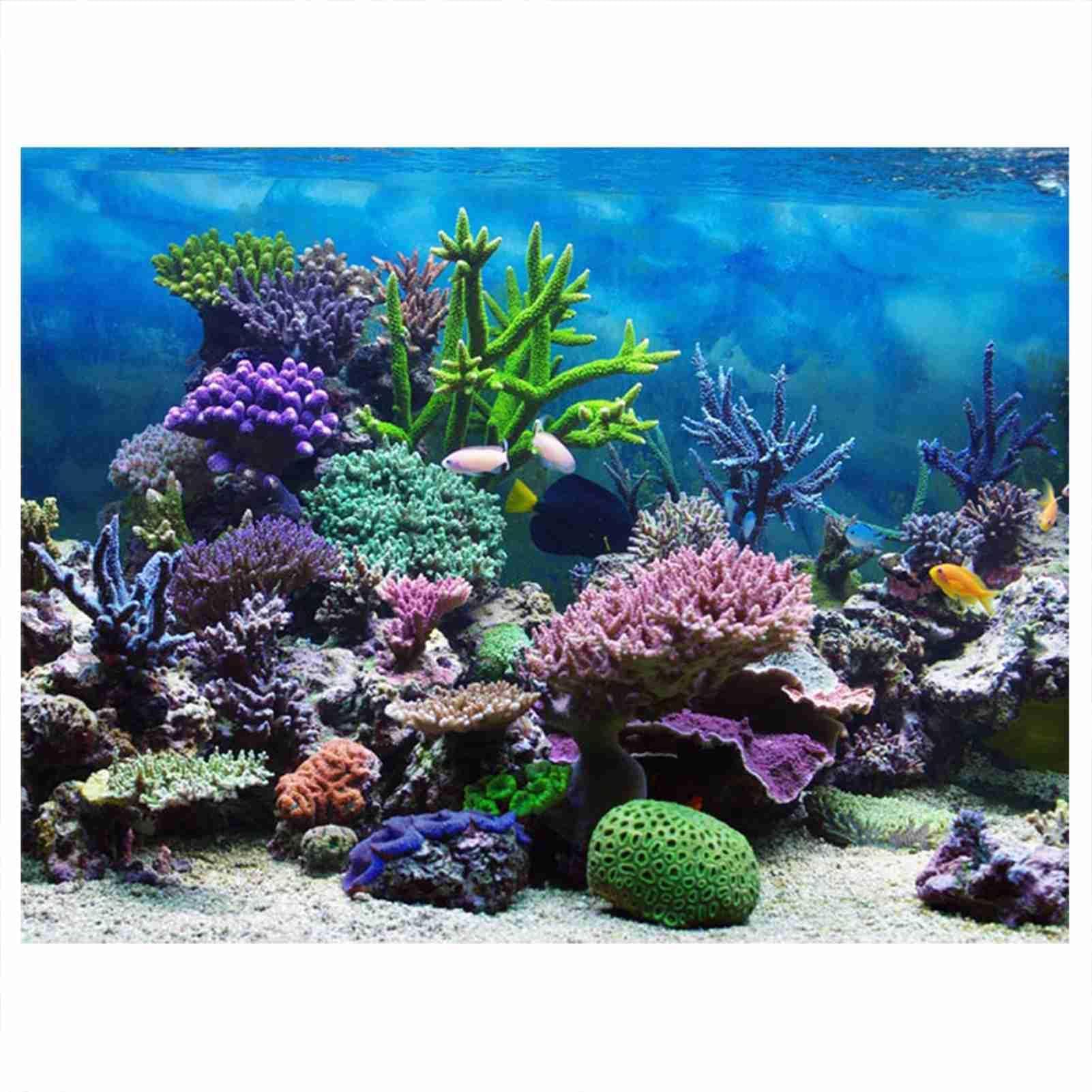 Zerodis Decorative Poster for Aquarium Underwater Coral Stickers PVC Adhesive Decorations for Aquarium Background (91 x 41 cm)