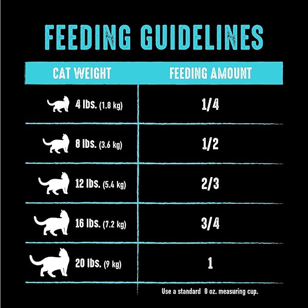 CRAVE GRAIN FREE ADULT HIGH PROTEIN NATURAL DRY CAT FOOD WITH PROTEIN FROM SALMON & OCEAN FISH 4 LB
