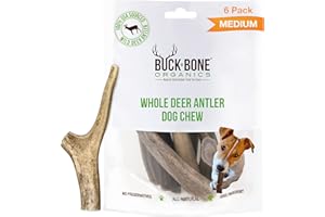 Buck Bone Organics Dog Chews, Deer Antlers for Dogs, Long Lasting Dog Bones for Aggressive Chewers, All Natural, No Preservatives, Wild Shed in The USA, Small/Medium 6 Pack