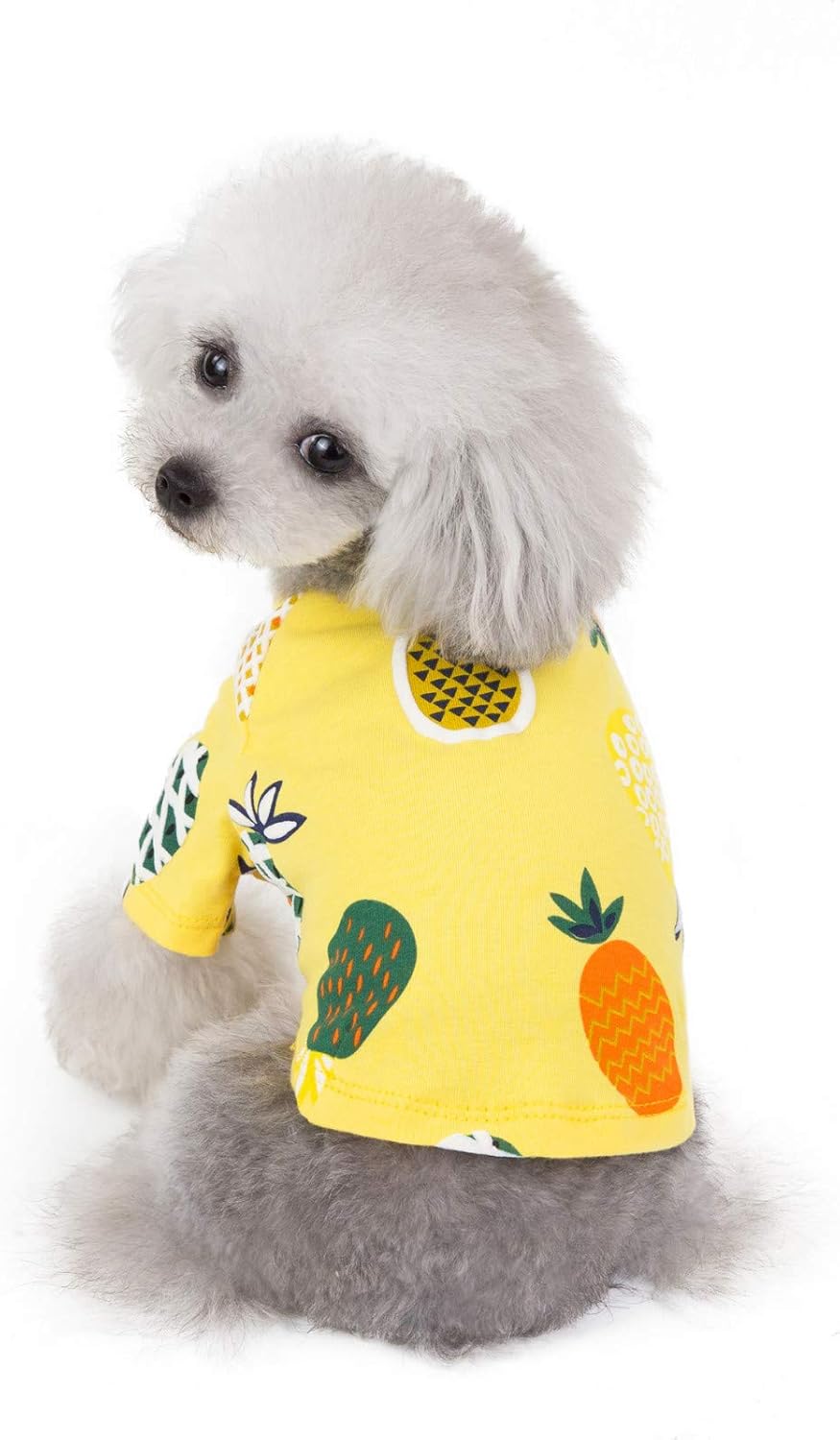 howstar pet clothes