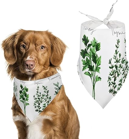 Amazon ビンテージ 花 おしゃれビンテージ 花 おしゃれ 犬用バンダナトライアングルビブスカーフ調節可能なペットバンダナアクセサリー犬猫ペット動物 Mahel ドレス ワンピース 通販