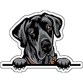 WickedGoodz Great Dane Decal - Dog Breed Bumper Sticker - for Laptops Tumblers Windows Cars Trucks Walls - Full Color
