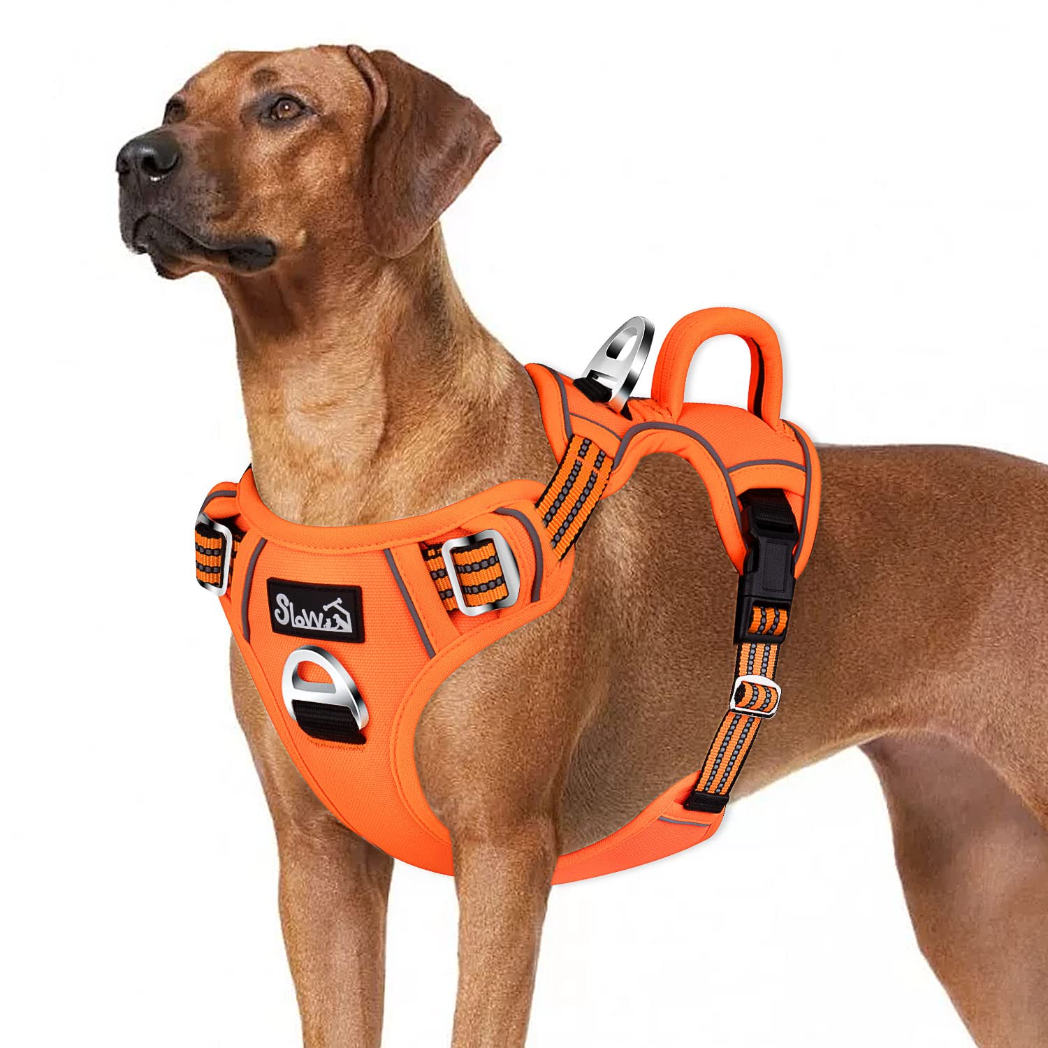 Eyein Large Dog Harness, Anti Pull Adjustable Heavy Duty Pet Vest with 2 Clips, Escape Proof Puppy Harness with Soft Padded Handle Reflective for Outdoor Training Walking — image 1