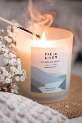 Ocoee House Luxury Scented Soy Wax Candle Loch Lomond 450g 2 Sizes view 3