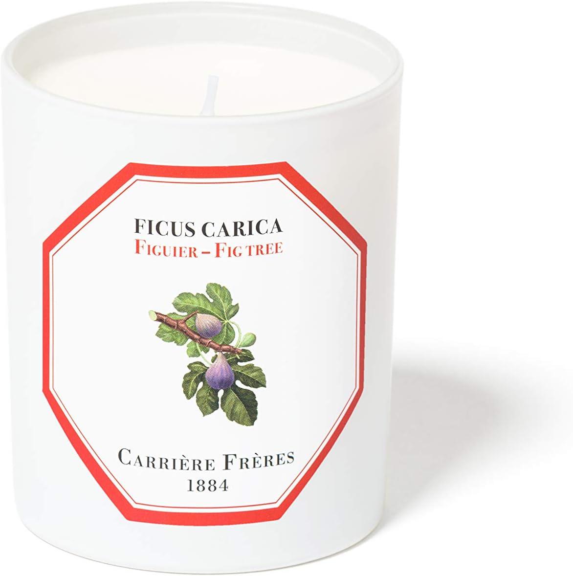 FIG Tree- Ficus Carica Candle Luxury Candle Carriere Freres