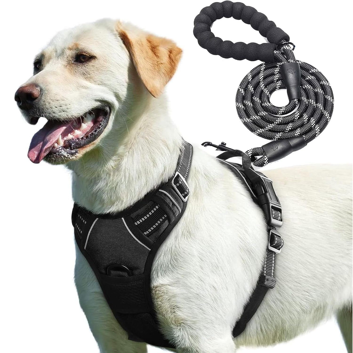 PetBuds Adjustable No Pull Dog Harness with Free 5ft Leash, Breathable and Durable for All Breeds (Black, Small)