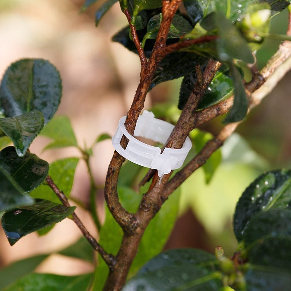 OUNONA 100pcs Orto de tomate joyas clip de plantas de soporte ...