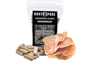 North Spore Organic Chicken of The Woods (100 ct) Mushroom Plugs for Logs | Premium Mushroom Plug Spawn | Handmade in Maine, USA | Grow Gourmet Mushrooms Outdoors on Logs | Laetiporus sulphureus