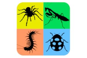 Animals Life Cycle - Insects and Arachnids Free