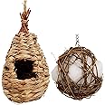 Amazon.com : 3Cats Hummingbird House with Bird Nesting Materials ...