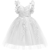 Weileenice Flower Girl Lace Dress Pageant Kids Wedding Christmas Holiday Party Dresses