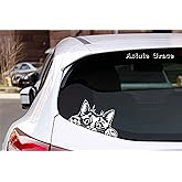 Curious Peeking Kitty Cat Die Cut Decal Sticker for Car Window Car Bumper Truck Laptop Computer Skateboard (White)