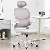 Yilaywain Ergonomic Office Chair, Home Office Desk Chair with Adjustable Headrest, High Back Computer Chair with Armrests and Lumbar Support for Home Office Study Room, Black & Gray (Grey)