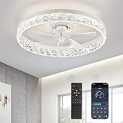 LEDIARY 20" Modern Ceiling Fans with Lights and