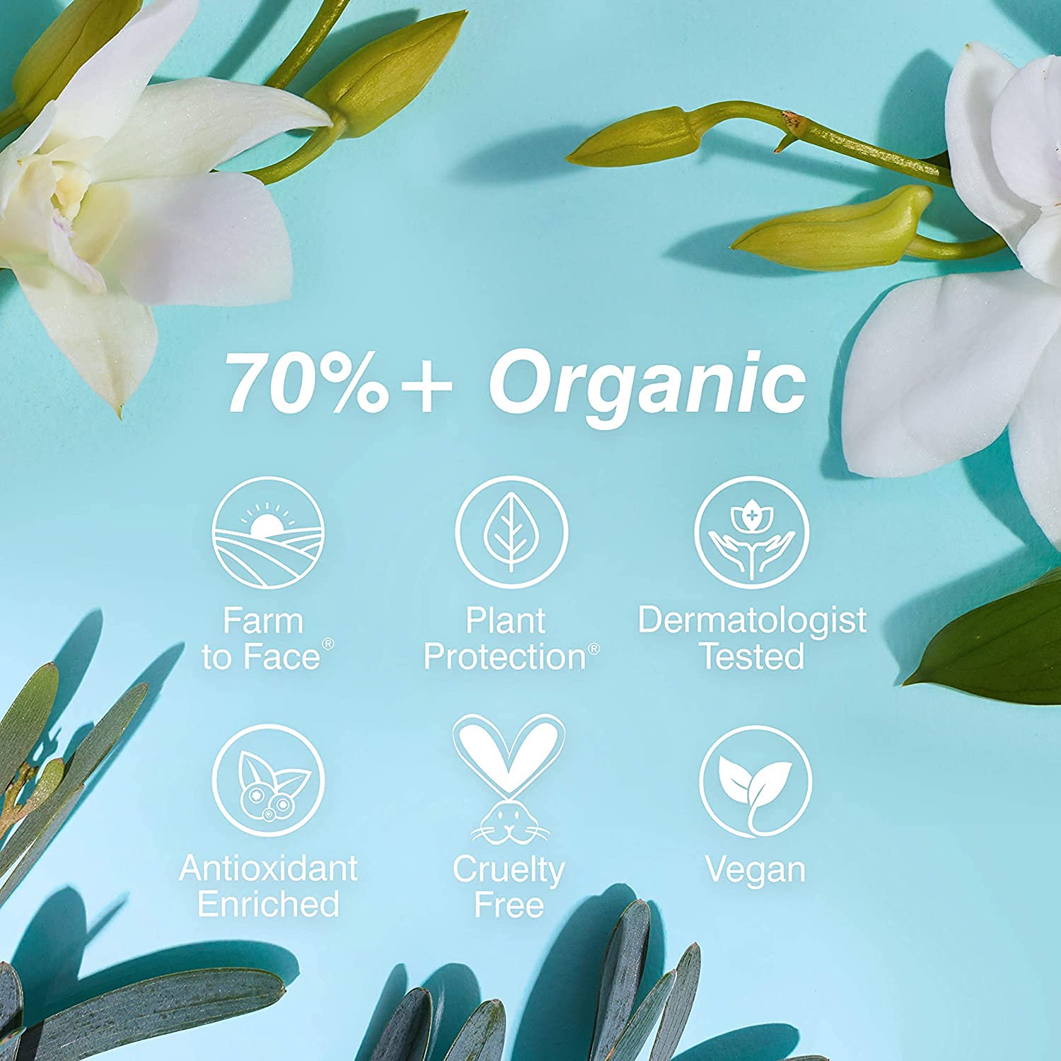 Coola, Organic Mineral Sunscreen Tinted Lip Balm Lip Care for Daily Protection Broad Spectrum SPF 30 Safe 0.15 Oz, Coral Reef, 1 Count: Premium Beauty