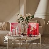 RITUALS The Ritual of Sakura Small Gift Set 2023 Women Body Care view 5