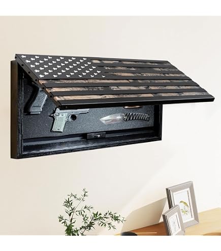 Amazon.com: Tactical Traps - Tactical Clock Gun Safe with Hidden