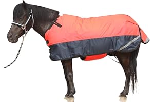 Gallopoff Foal/Mini Horse Size 30"-48" Waterproof & Breathable 300 Denier Winter Turnout Blanket with 150g Polyfill Fluorescencered Large