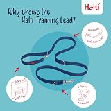 Halti Training Lead - Double Ended No-Pull Dog Lead 2m Small Cobalt view 3