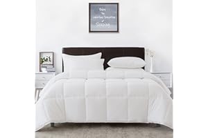 Downmemory Queen Comforter White Down Alternative Comforter with Corner Tabs,Fluffy Soft Noiseless Duvet Insert Machine Washable-90x90 Inches