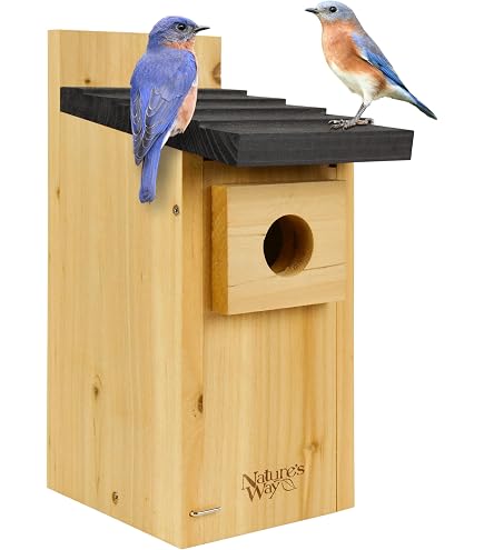 Amazon.com : Nature's Way Bird Products CWH3 Cedar Bluebird Box