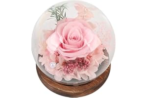 Yosoo Eternal Rose Glass Cover, Preserved Flowers in Glass Dome with LED Light for Women, Long Lasting 3 to 5 Years, Romantic