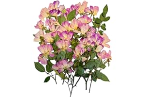 DoraMagic 24Pcs Nauture Dried Pressed Rose, Real Dried Pressed Flowers for Resin Scrapbook Supplies Card Making Soap Candle DIY Art Crafts (Purple)