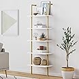 Nathan James Theo 5-Shelf Modern Bookcase, Open Wall Mount Ladder Bookshelf with Industrial Metal Frame, White/Gold