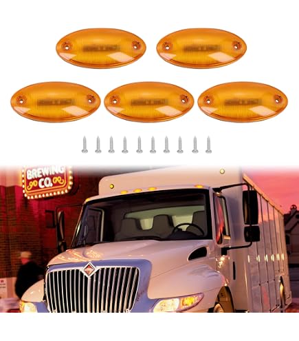 Amazon.com: Dorman 888-5125 Cab Roof Marker Light Compatible with