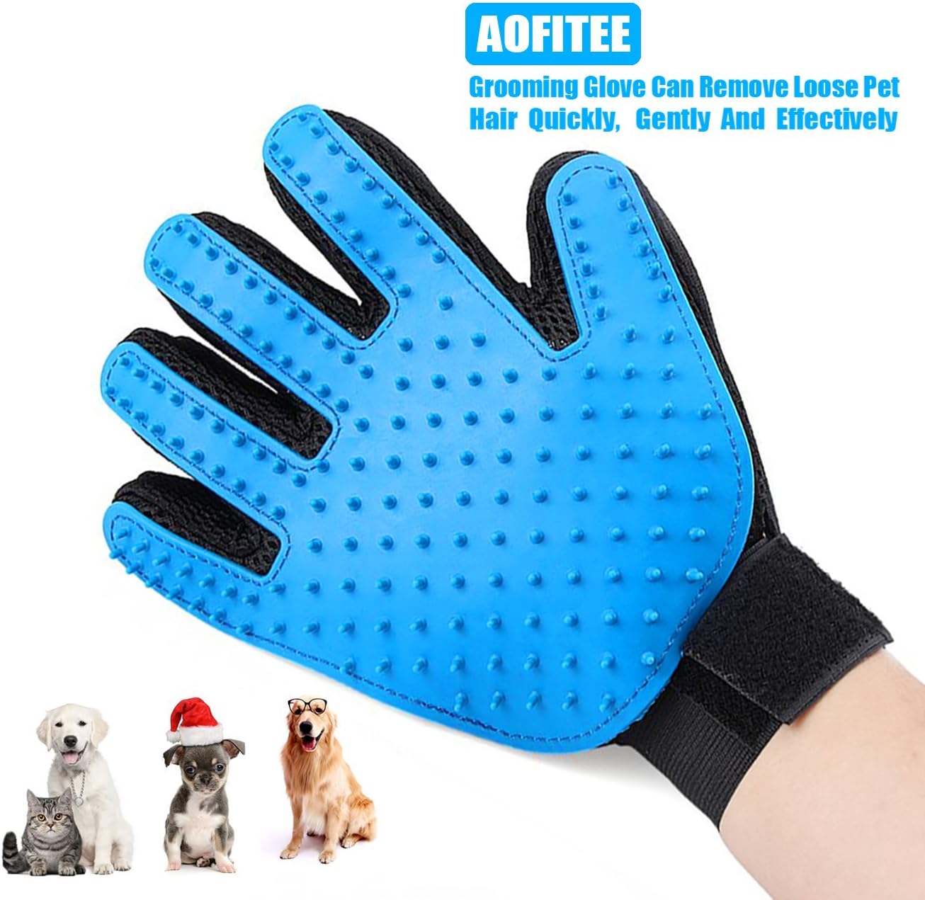 tsc pet vaccinations